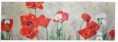 /album/les-coquelicots/champs-de-coquelixcots-jpg/